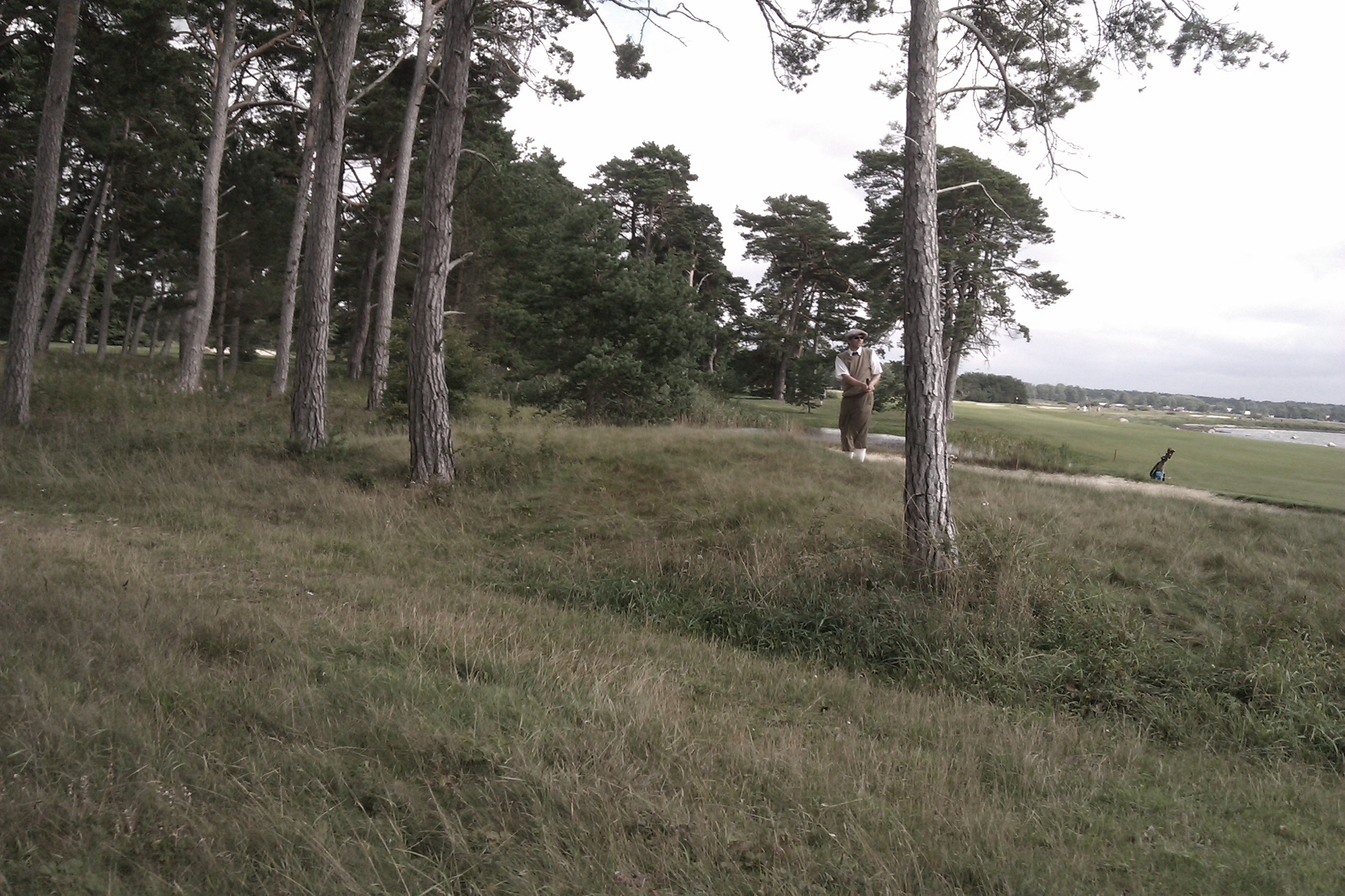 Svenska Hickorymästerskapen 2011